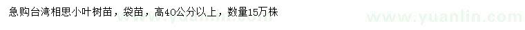 求購高40公分以上臺(tái)灣相思