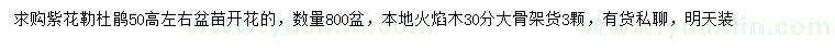 求購高50公分紫花勒杜鵑、30公分火焰木