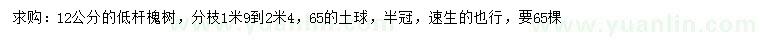 求購12公分低桿槐樹