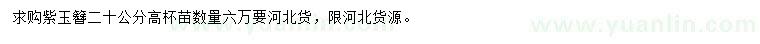 求購高20公分紫玉簪