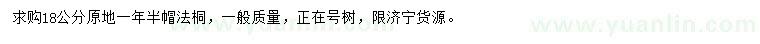 求購(gòu)18公分法桐