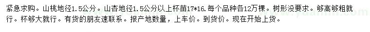 求購地徑1.5公分山桃、山杏