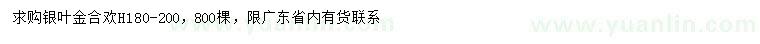 求購高180-200公分銀葉金合歡
