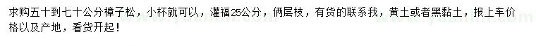 求購50-70公分樟子松