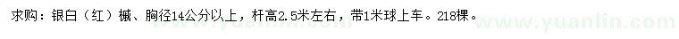 求購胸徑14公分以上銀白（紅）槭