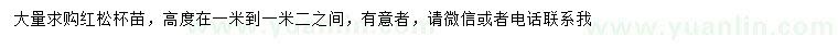 求購高1-1.2米紅松