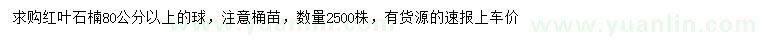 求購(gòu)80公分以上紅葉石楠球