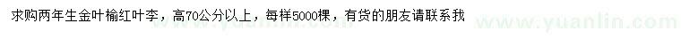 求購高70公分以上金葉榆、紅葉李