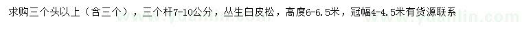 求購高6-6.5米叢生白皮松