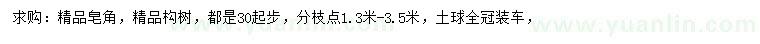 求購30公分起步皂角、構樹