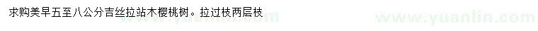 求購5-8公分吉絲拉站木櫻桃樹