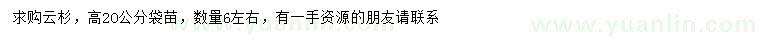 求購高20公分云杉