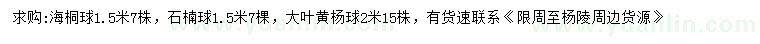 求購(gòu)海桐球、石楠球、大葉黃楊球