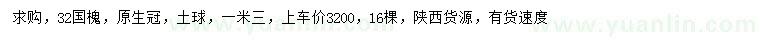 求購32公分國槐