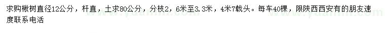 求購(gòu)直徑12公分楸樹