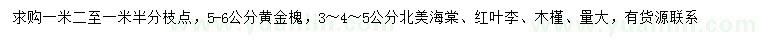 求購(gòu)黃金槐、北美海棠、紅葉李等