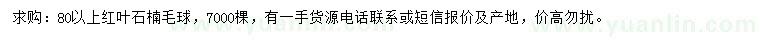 求購80公分以上紅葉石楠