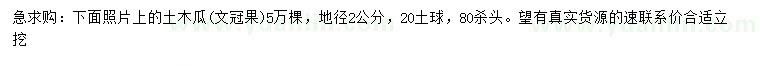 求購(gòu)地徑2公分木瓜（文冠果）