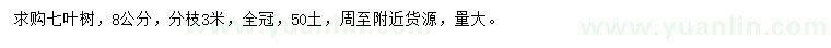 求購8公分七葉樹