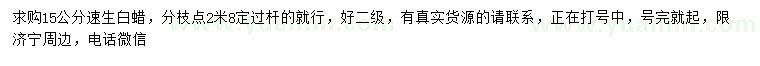 求購15公分速生白蠟