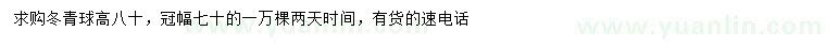 求購(gòu)高80公分冬青球