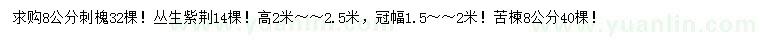 求購刺槐、叢生紫荊、苦楝