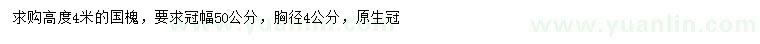 求購胸徑4公分國槐