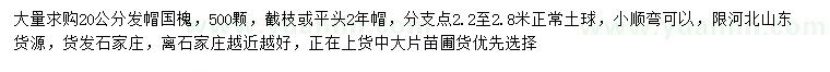 求購(gòu)20公分國(guó)槐