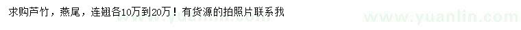 求購蘆竹、燕尾、連翹