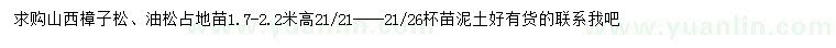求購高1.7-2.2米樟子松、油松