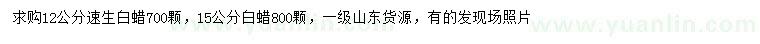 求購12、15公分速生白蠟
