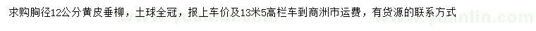 求購(gòu)胸徑12公分黃皮垂柳
