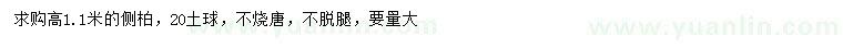 求購高1.1米側(cè)柏