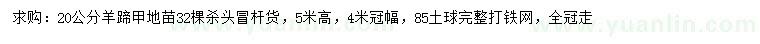 求購(gòu)20公分羊蹄甲地苗