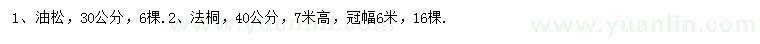 求購(gòu)30公分油松、40公分法桐		