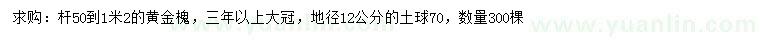 求購地徑12公分黃金槐