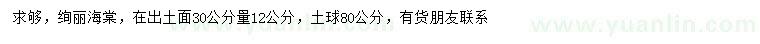 求購30公分量12公分絢麗海棠