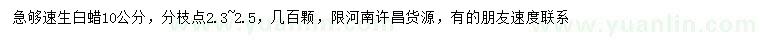 求購(gòu)10公分速生白蠟