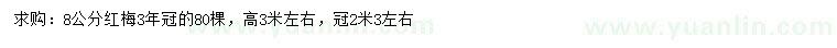 求購8公分紅梅