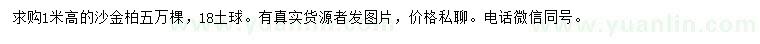 求購高1米灑金柏