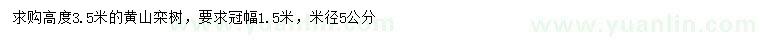求購米徑5公分黃山欒