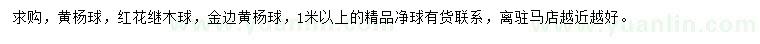 求購黃楊球、紅花繼木球、金邊黃楊球
