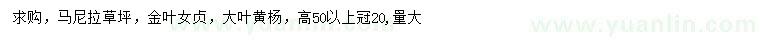 求購馬尼拉、金葉女貞、大葉黃楊