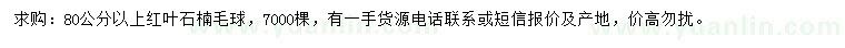 求購80公分以上紅葉石楠毛球