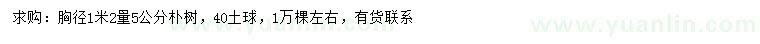 求購胸徑1.2米量5公分樸樹