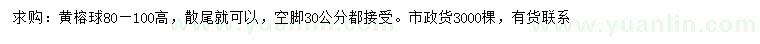 求購高80-100公分黃榕球