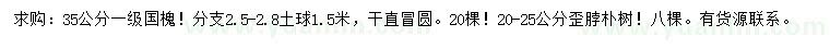 求購(gòu)35公分國(guó)槐、20-25公分樸樹