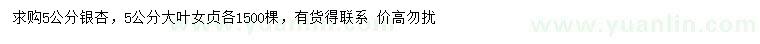 求購5公分銀杏、大葉女貞