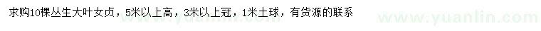 求購高5米以上叢生大葉女貞