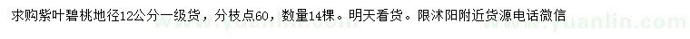 求購(gòu)地徑12公分紫葉碧桃